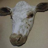 Animal props cow